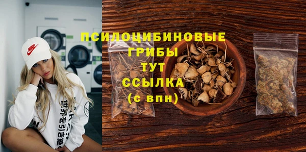 не бодяженный Арсеньев