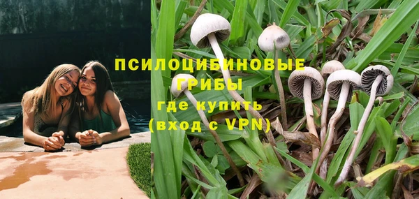 эйфоретик Балахна