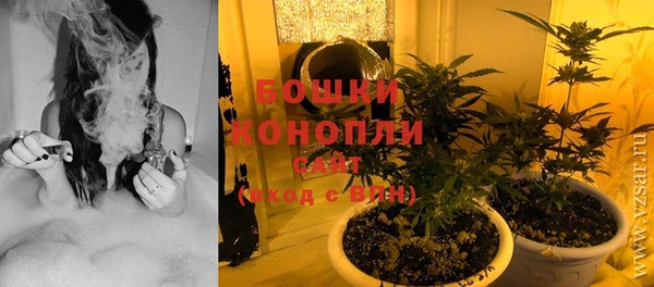 не бодяженный Арсеньев